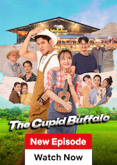 The Cupid Buffalo poster